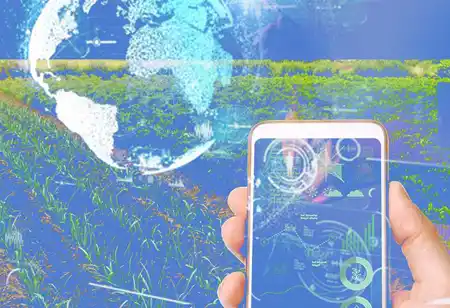 How Does Technology Transform Wealth Management?