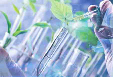 Debt Collection and Consumer Rights in Europe